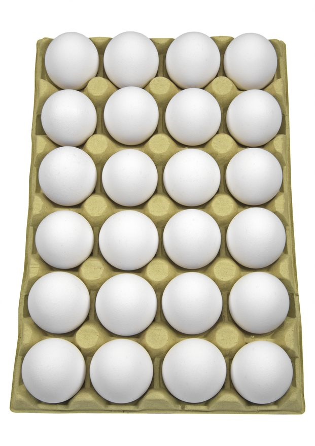 Økologisk egg m/l frittgående 8/30 stk flemming
