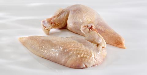 Kyllingbryst m/sk og vingeben fryst 5 kg ytterøy