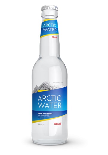 Arctic water lemon kullsyre 24/0,33 lt glass coca cola
