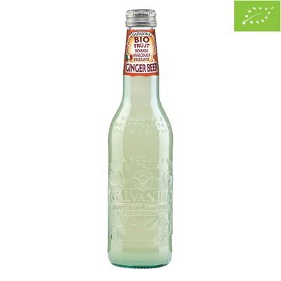 Galvanina ginger beer 12/355ml økologisk